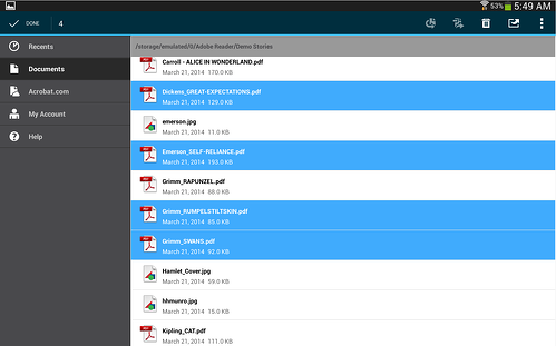 Adobe Reader