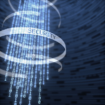 NPI and Data Insecurity