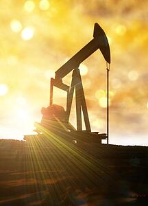 what is mineral interest