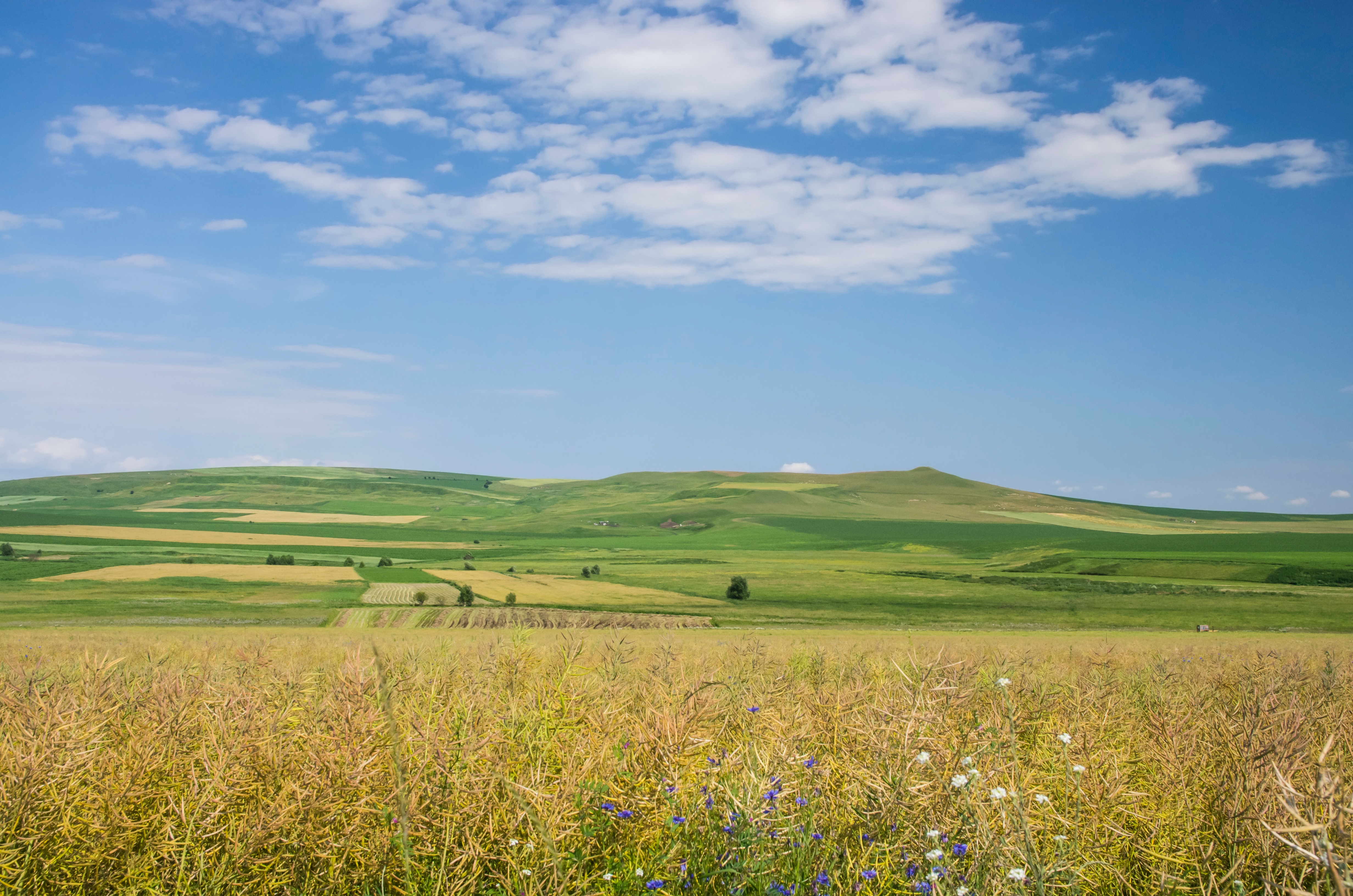 land tenure